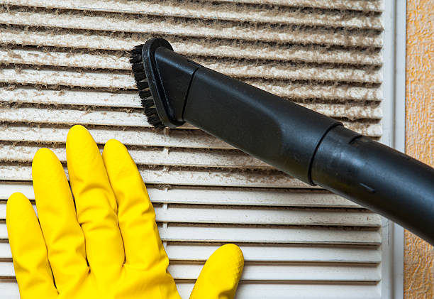 Best Professional Duct Cleaning Services  in Carmel, IN